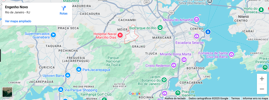 imagem-do-mapa-do-bairro-do-engenho-novo